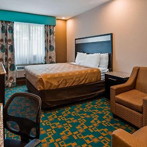 King Room Disability Access